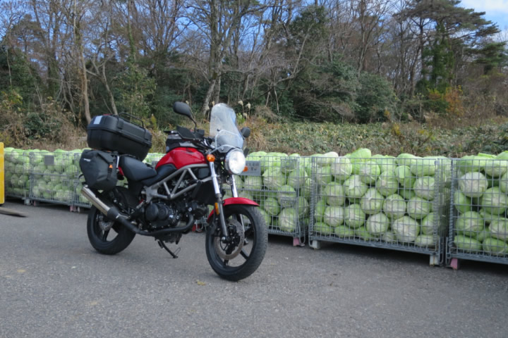 VTR ツーリングマスター ｜ ノースウイングJC